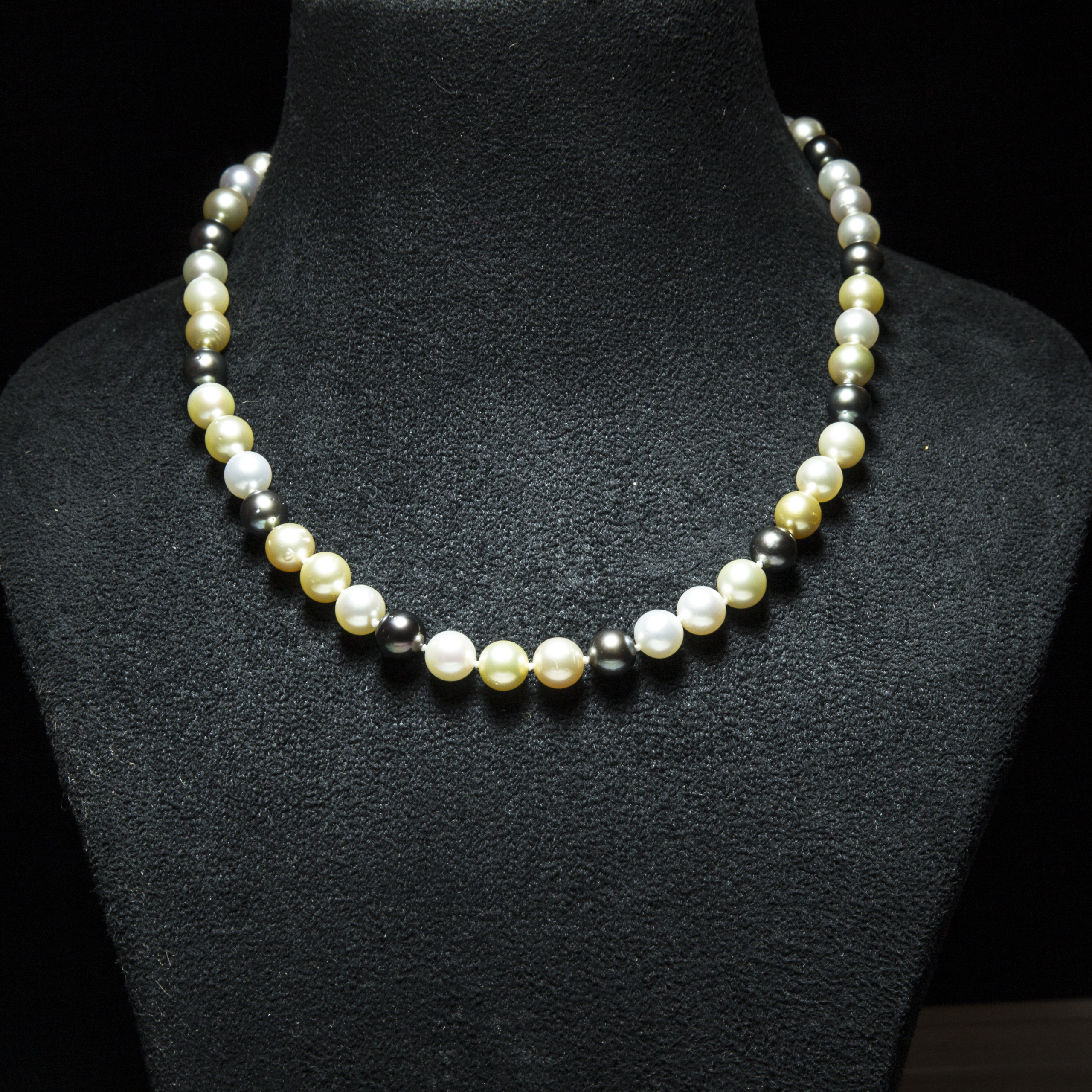 Multicolour South Sea Pearl Necklace with Silver clasp