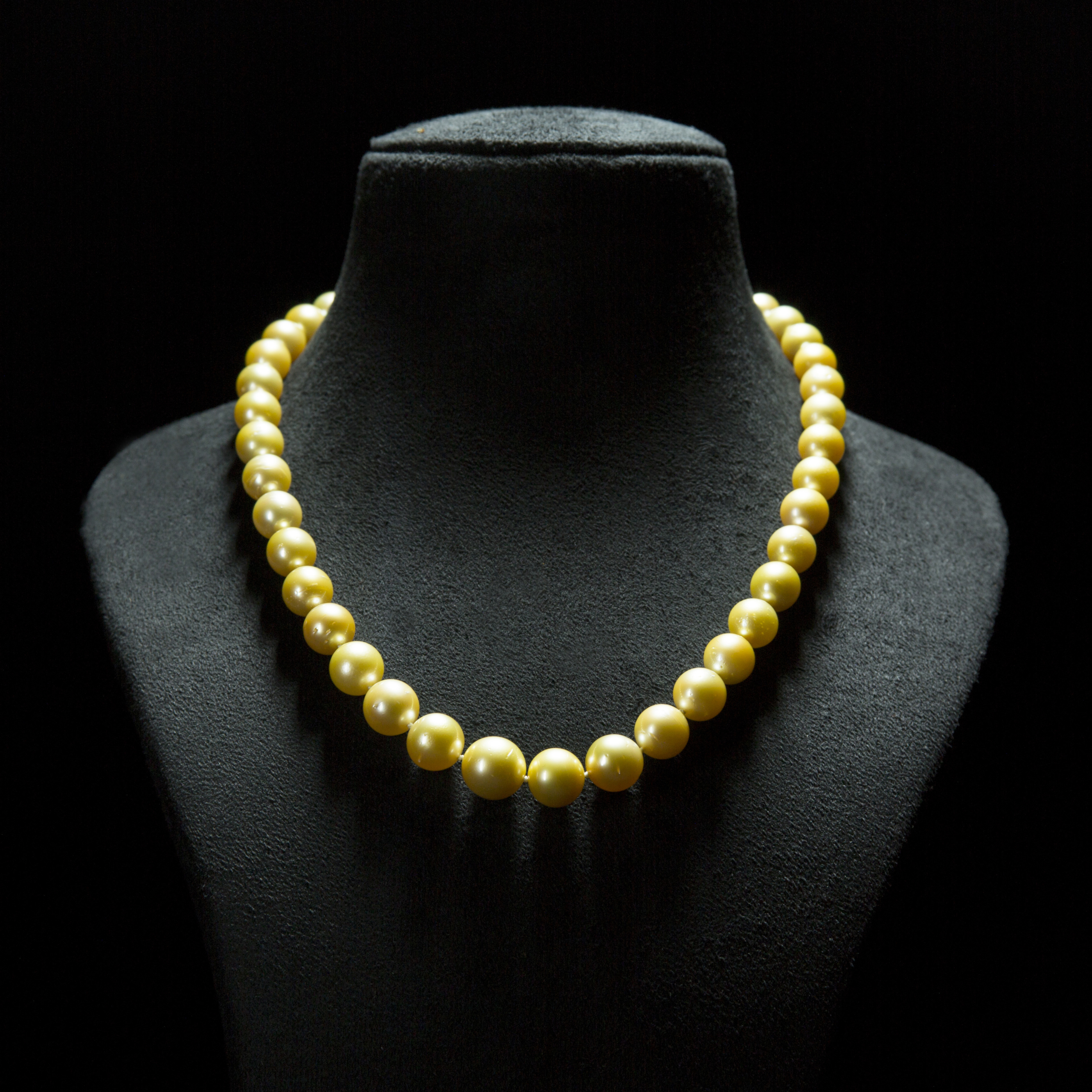 Vintage Natural Golden South Sea Pearl Necklace Set - Silver Clasp